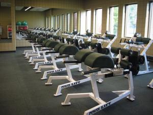 Baylor Glue Ham Bench by Power Lift