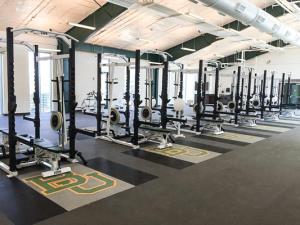 Baylor 2015 Half Racks by Power Lift
