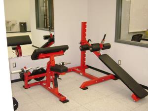 Bradley Curl & Decline Benches by Power Lift