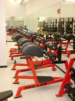 Bradley Glute Ham Benches by Power Lift