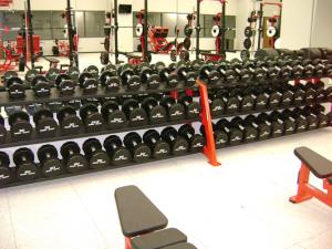 Bradley Dumbbell Racks by Power Lift