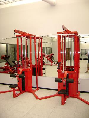 Bradley Seated Pulley by Power Lift