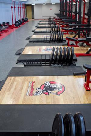 Chaffey Weights by Power Lift