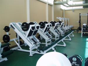 Colorado State Leg Presses by Power Lift