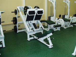 Colorado State Leg Press by Power Lift