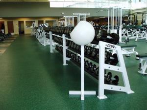 Colorado State Dumbbell Racks by Power Lift