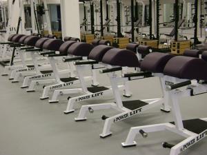 Cornell College Glute Ham Bench by Power Lift