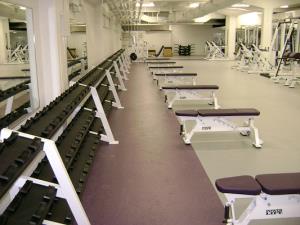 Cornell College Dumbbell Rack by Power Lift