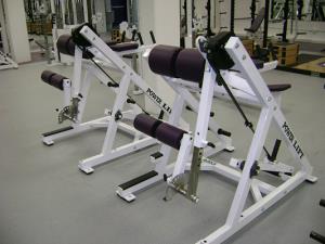 Cornell College Reverse Back Extension by Power Lift