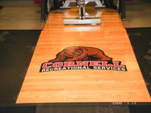 Cornell University Platform by Power Lift
