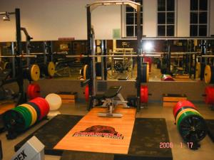 Cornell University Half Rack and Platform by Power Lift