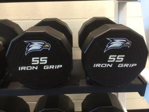 Georgia Southern University Custom Dumbbells by Power Lift