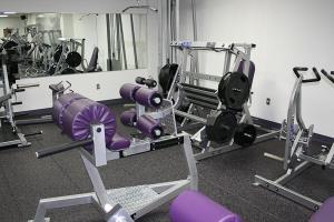 Kansas State Basketball Rotating Glute Ham Bench by Power Lift 