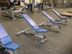Kirkwood College Dumbbell Bench by Power Lift
