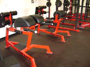 Northern Illinois University Glute Ham Developers by Power Lift