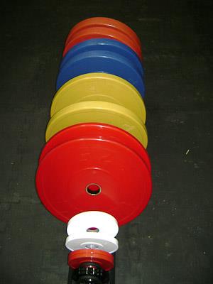Northern Illinois University Bumper Plates by Power Lift