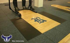 Rice University Custom Platform by Power Lift