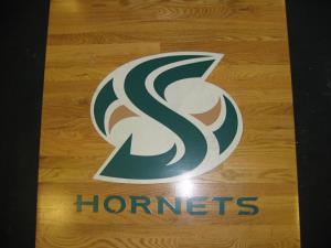 Sacramento State Custom Logo Platform by Power Lift