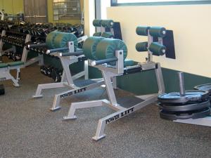 Sacramento State Glute Ham Bench by Power Lift