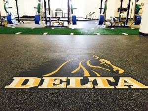 San Joaquin Delta College Custom Logo by Power Lift