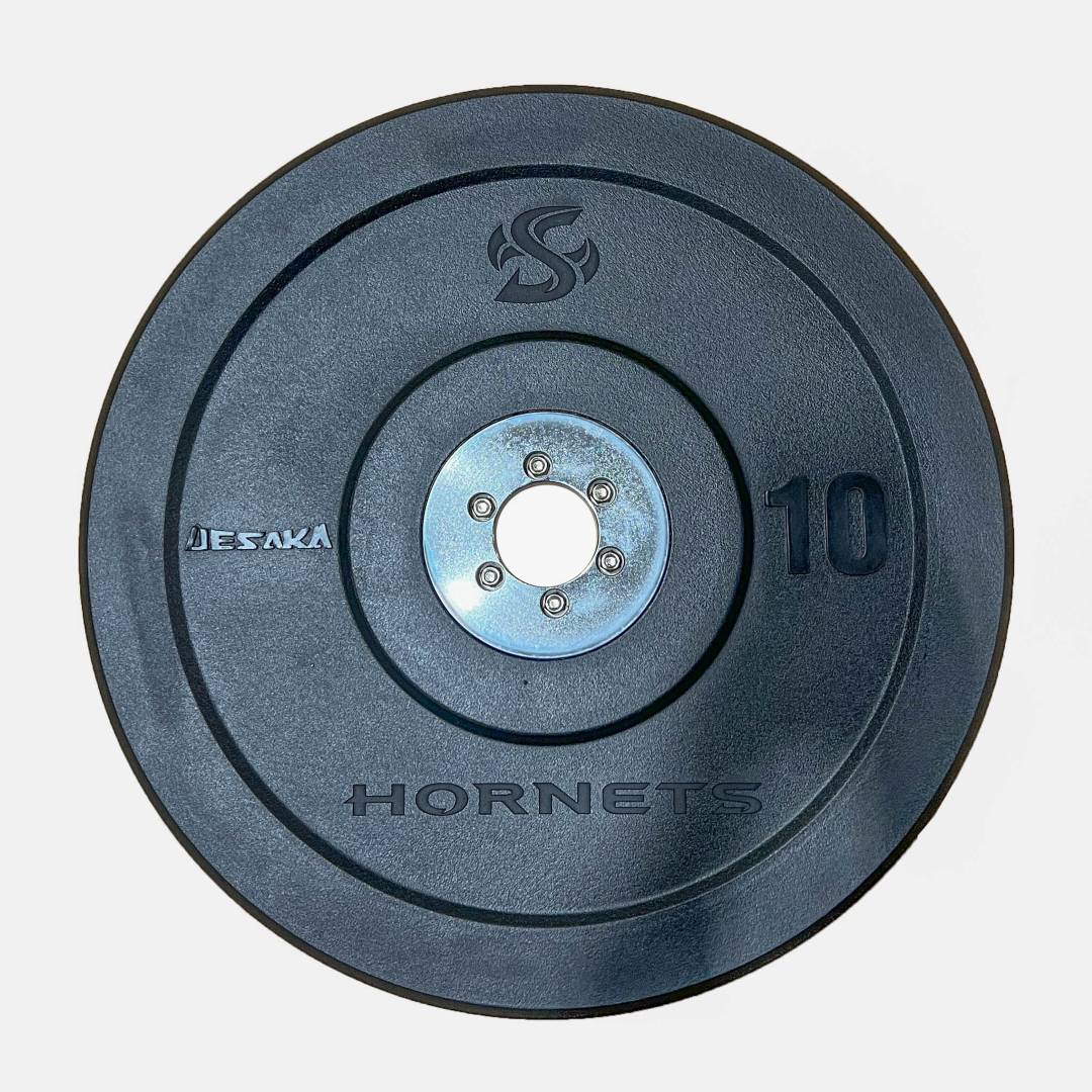 2 plaques d'entraînement SAPI 3kg - KING GONG
